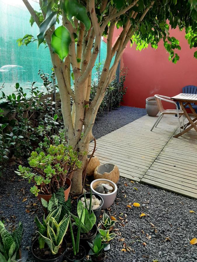 Casa Das Yucas - Patio Apartment Capelas Luaran gambar